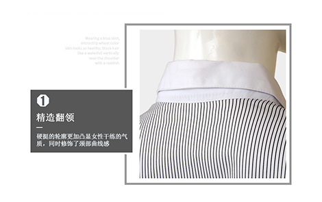 汕尾白領(lǐng)黑色對斜條女棉質(zhì)士長袖襯衫